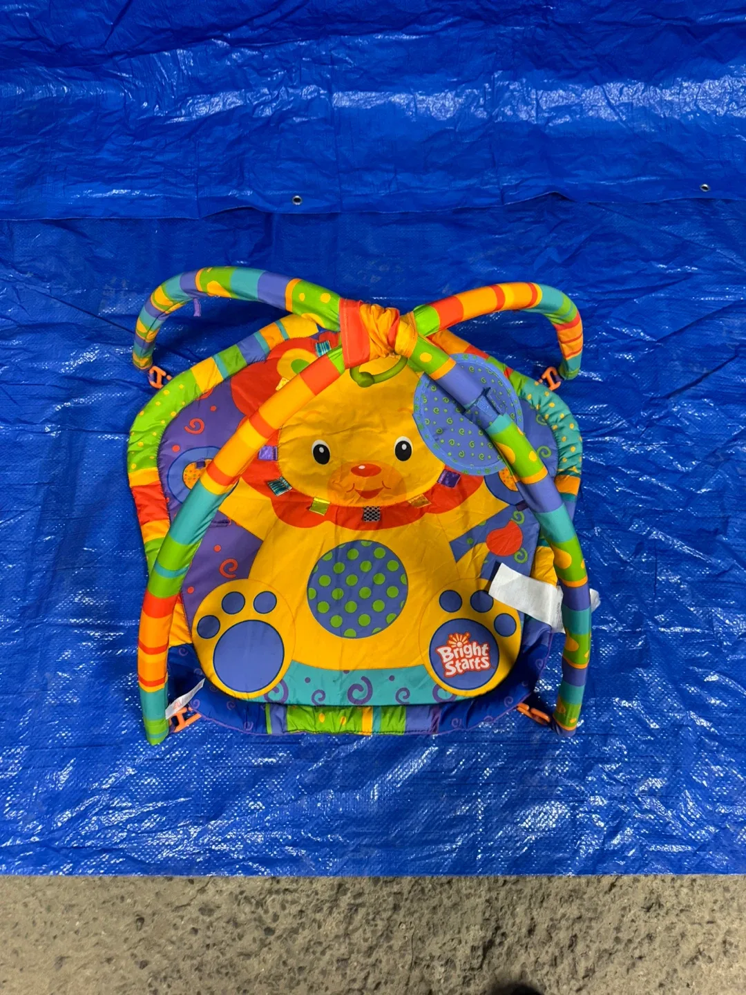 Bright Starts RRRRoaring Fun! Play Gym image indicator(4)