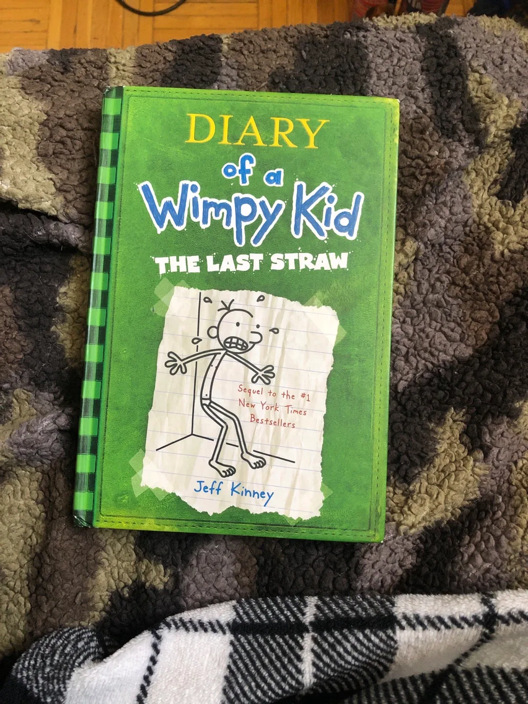 Diary of a Wimpy Kid: The Last Straw thumbnail