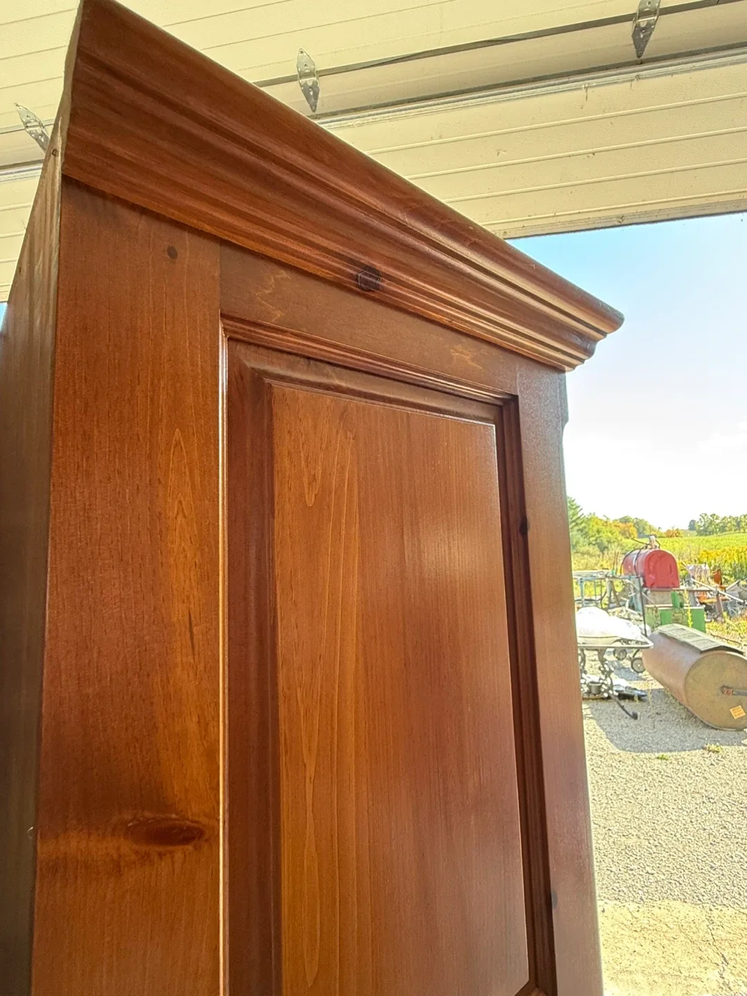 Wooden Display Cabinet with Glass Door 🥕 image indicator(10)