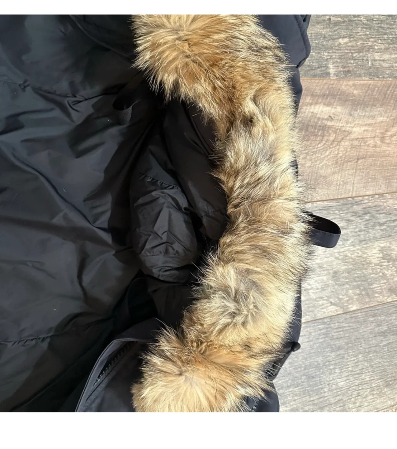 Canada Goose Parka image indicator(5)