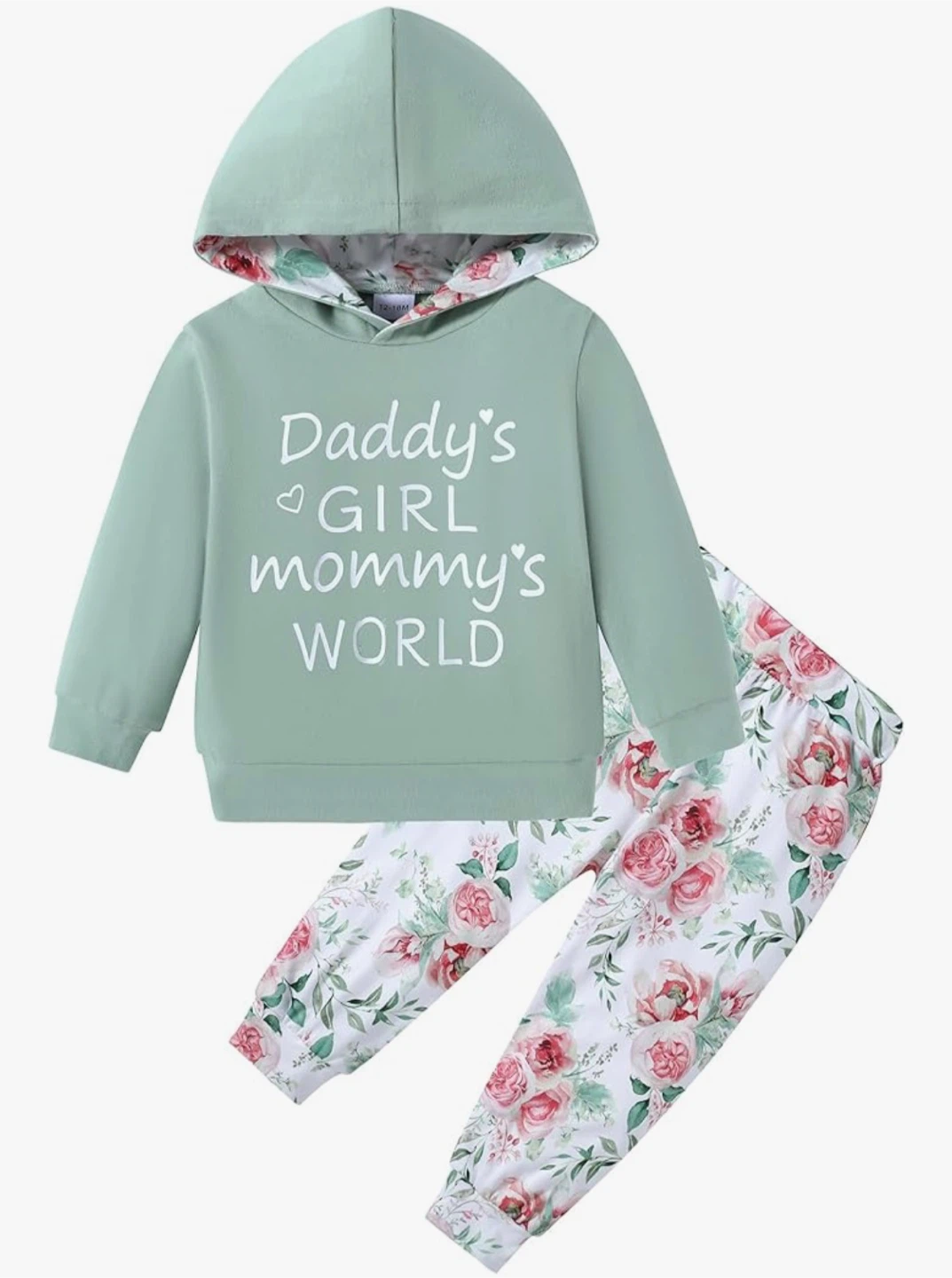 Girl's 2T-3 Floral Hoodie & Pants Set - New