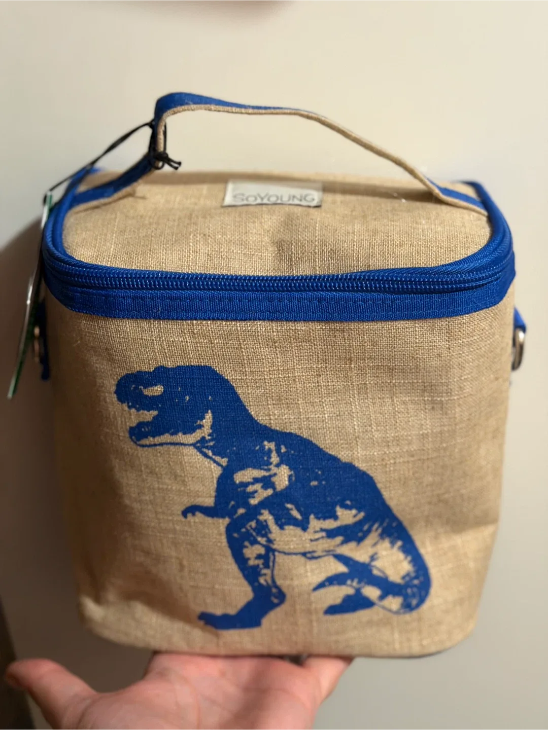 SoYoung Dinosaur Lunch Box thumbnail