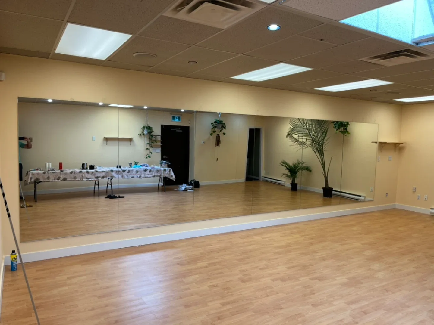 Mirrors - Frameless - large - gyms image indicator(4)