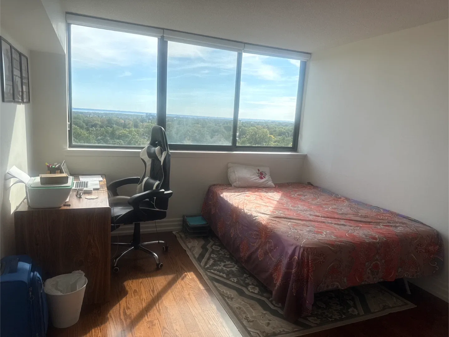 Big spacious room with mesmerizing view image indicator(2)