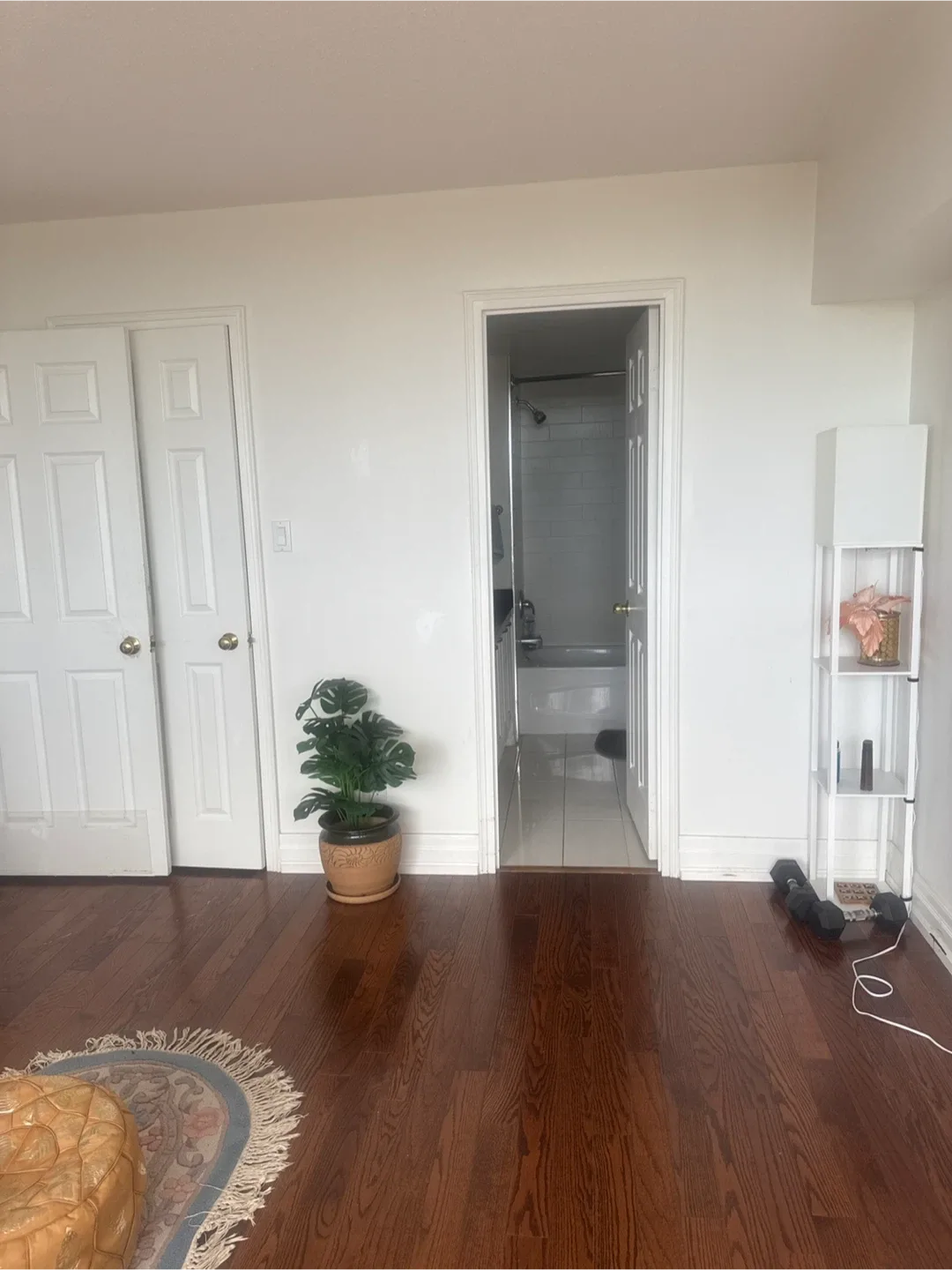 Big spacious room with mesmerizing view image indicator(4)