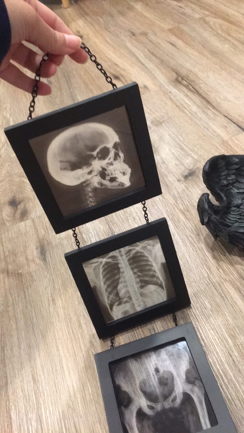 Gothic Decor Set Halloween lot - photo 3