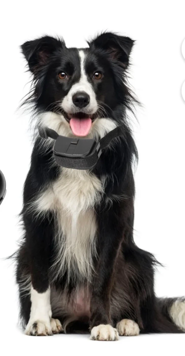 WIEZ D020 GPS Wireless Dog Fence - 2 Pack - photo 2