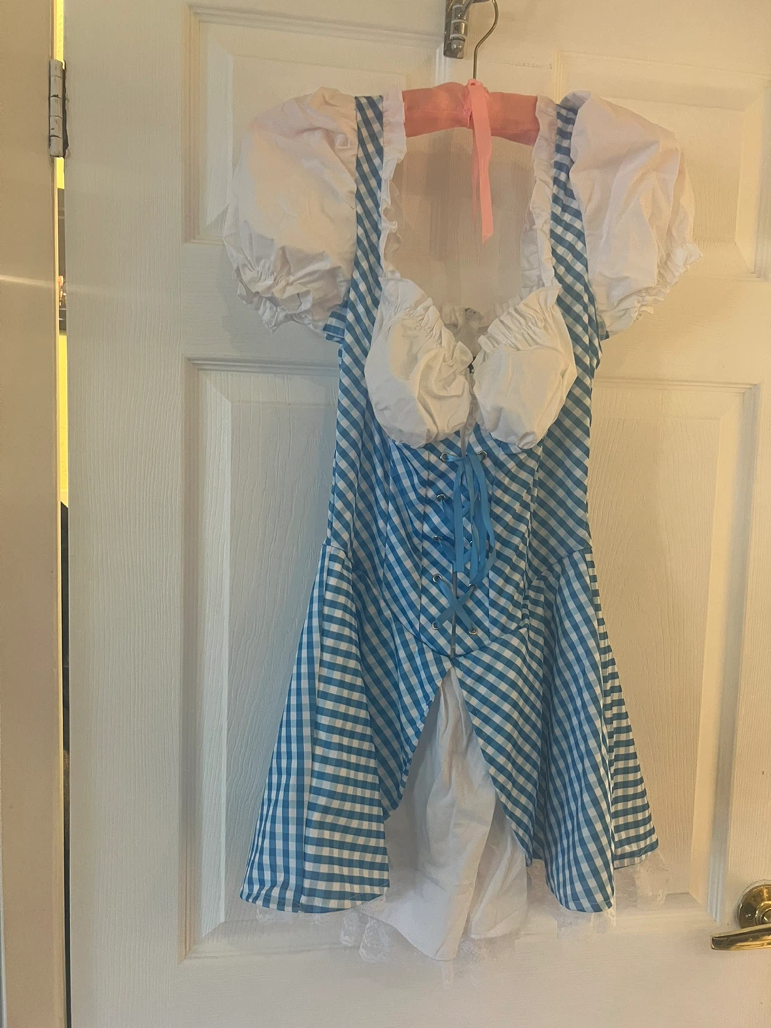 Dorothy Costume - Blue & White Gingham Dress - photo 2