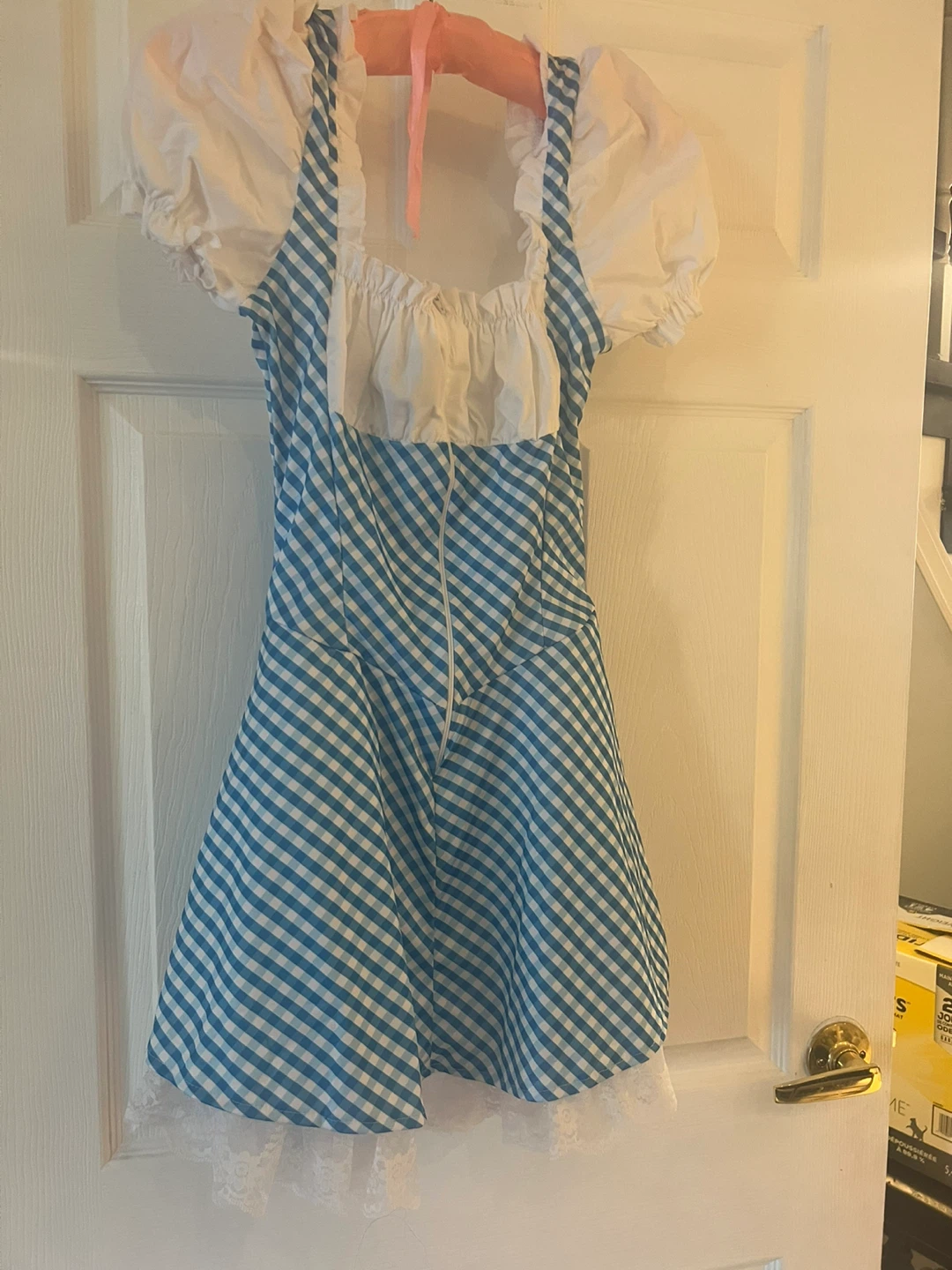 Dorothy Costume - Blue & White Gingham Dress - photo 3