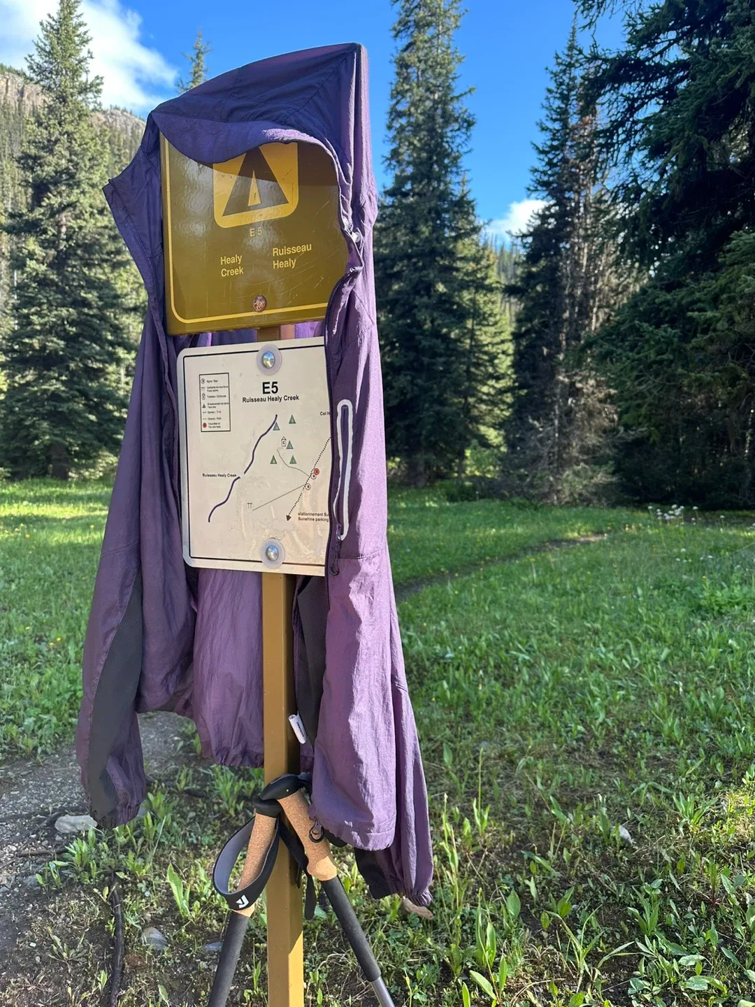 Purple Windbreaker Jacket thumbnail