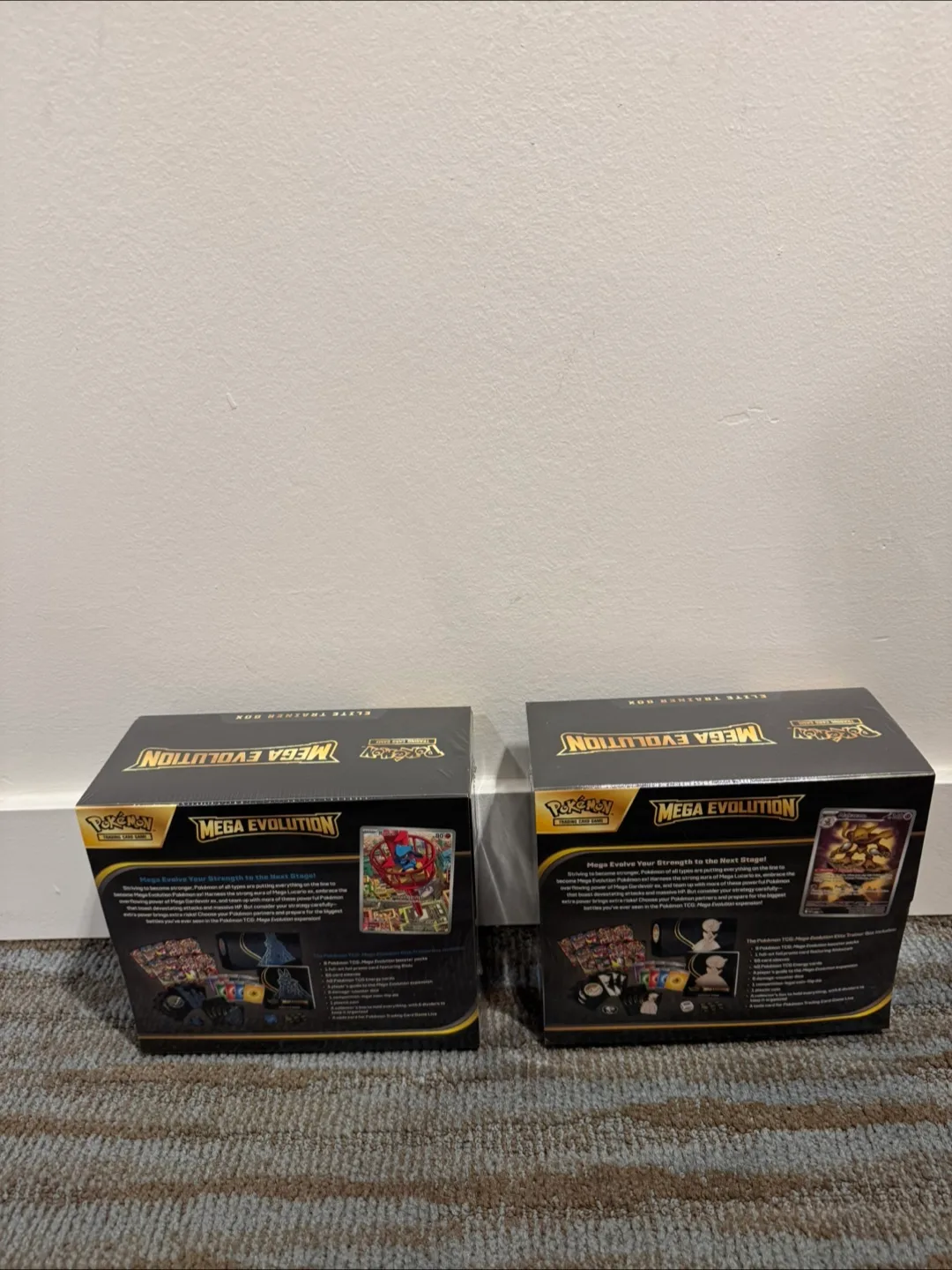 Pokemon Mega evolution ETB set Lucario & Gardevoir image indicator(2)