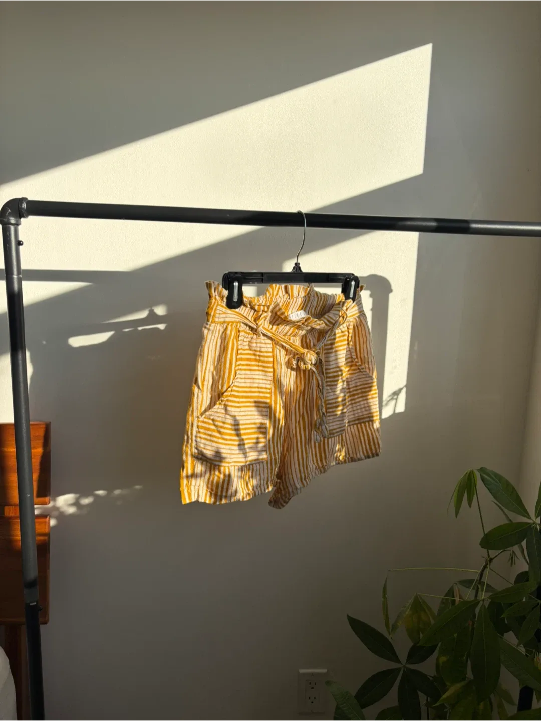 Otters Pot Yellow Striped Shorts thumbnail