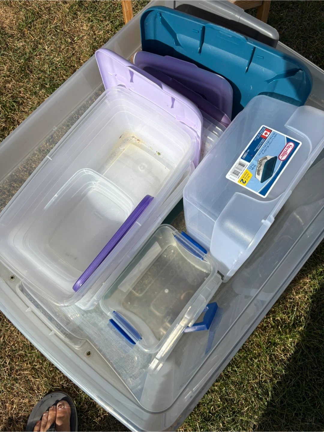 Storage Containers - Assorted Sizes