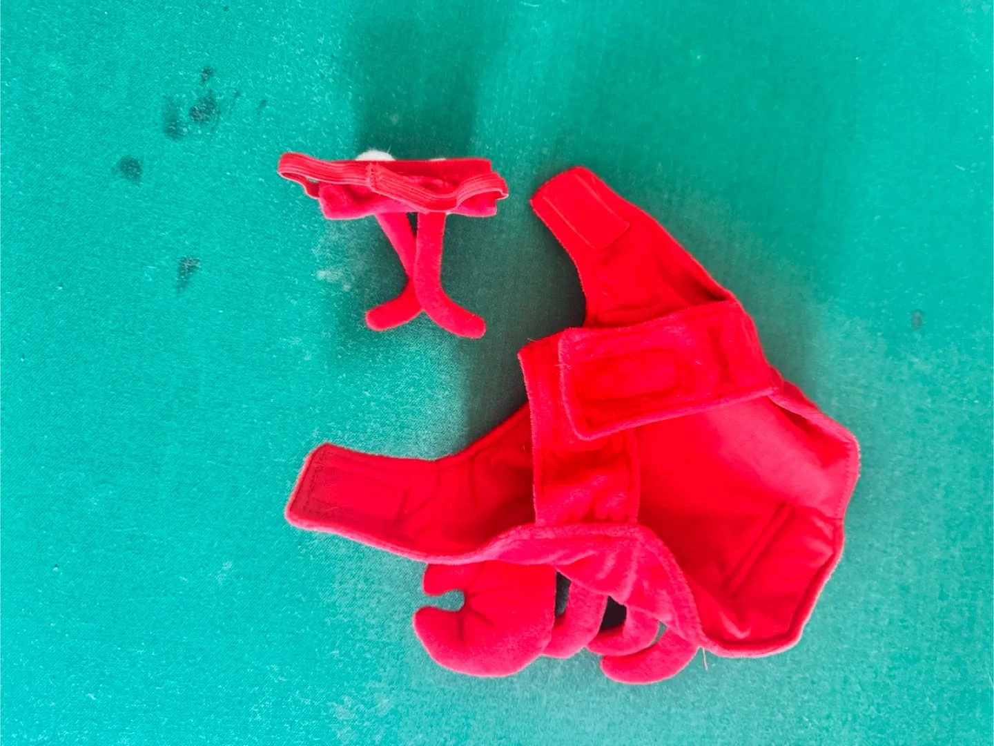 Small Pet Lobster Costume image indicator(2)