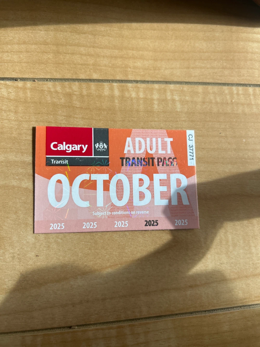 Calgary Transit Adult October Pass