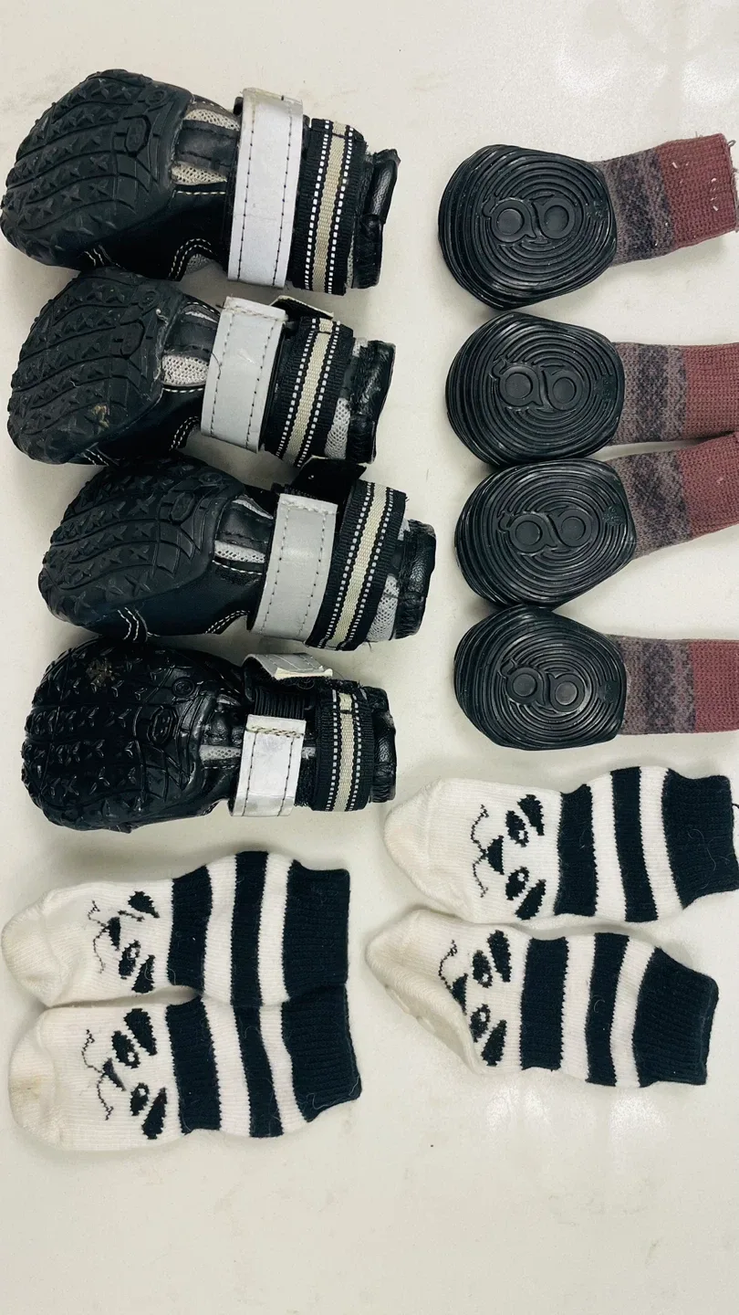 Dog Boots & Socks Set image indicator(2)