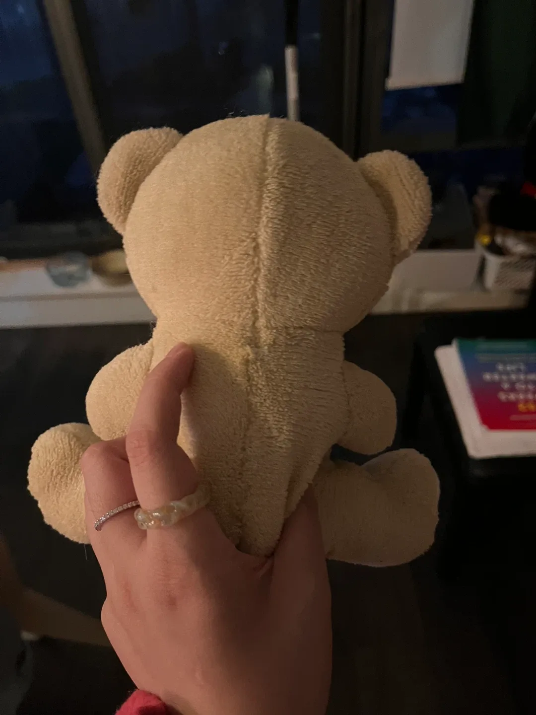 Cute Bear Plush image indicator(2)