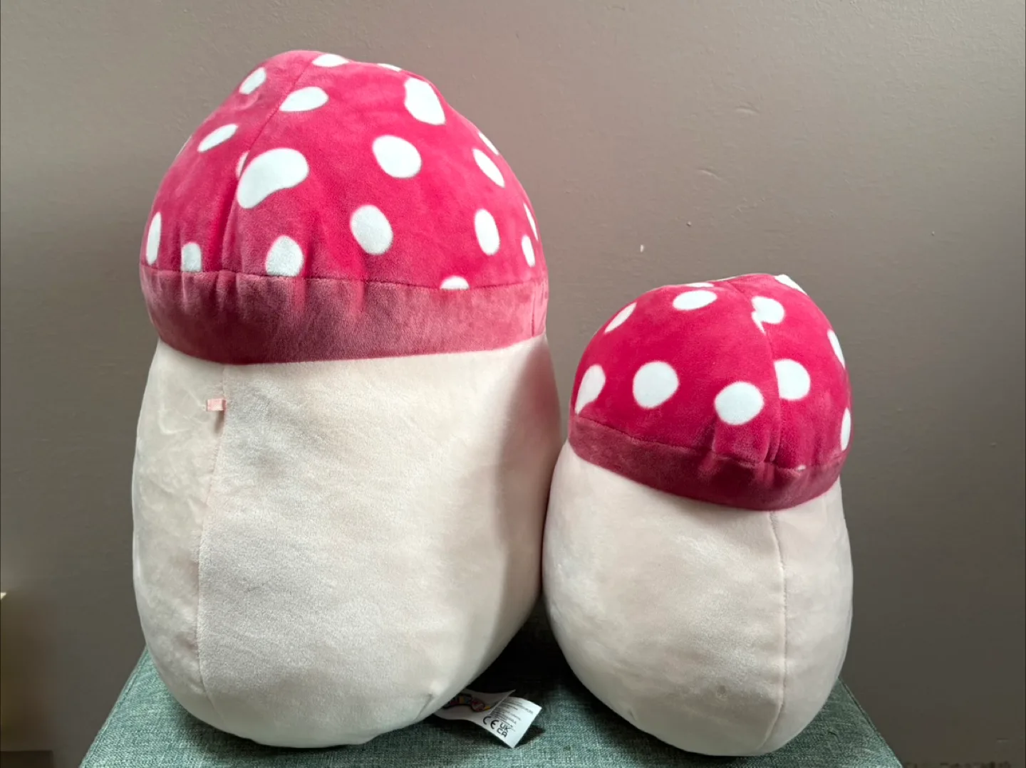 Squishmallows Mushroom 🍄 🍄 Plush Set image indicator(3)