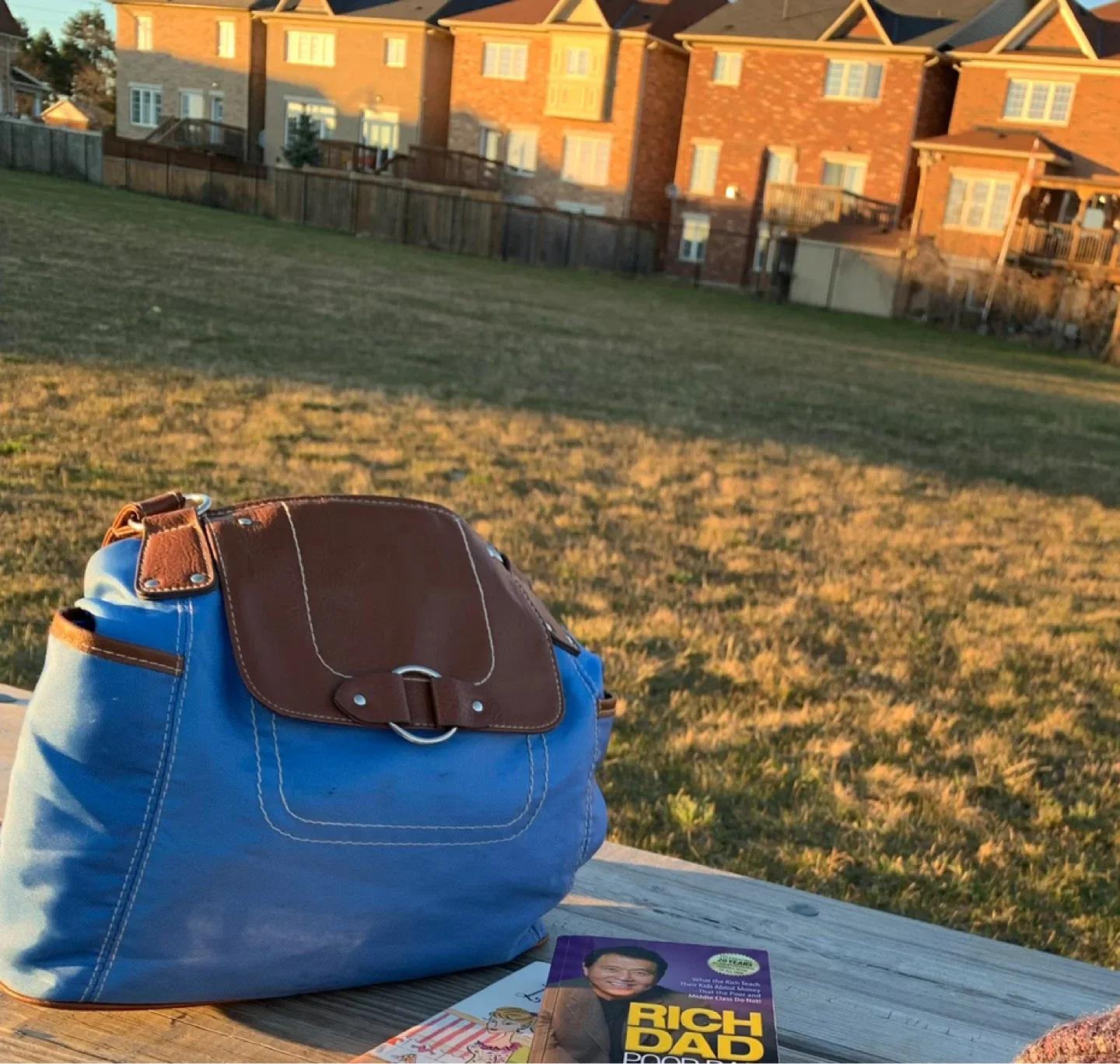 Blue & Brown Backpack Handbag bag image indicator(4)