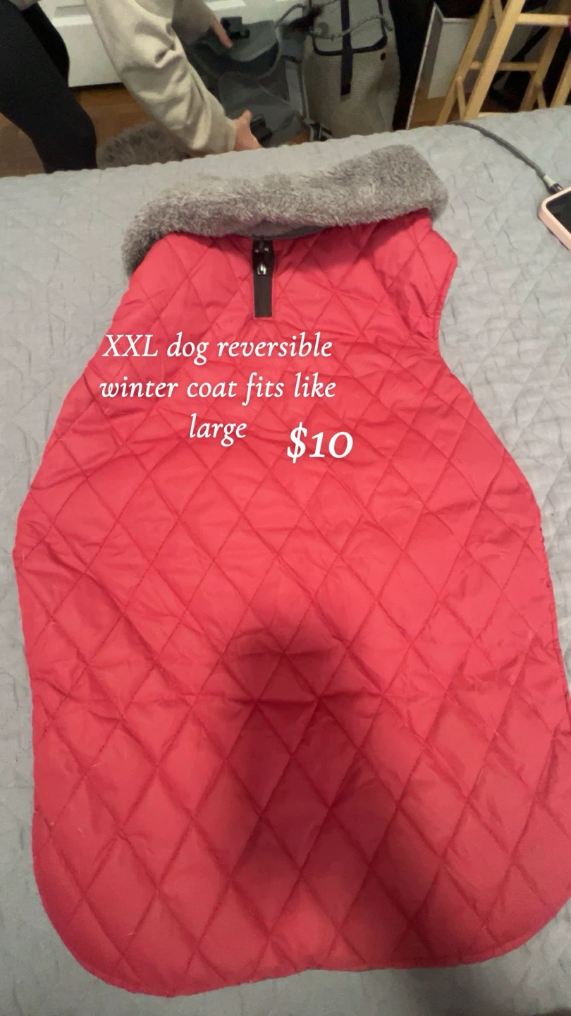 Dog items