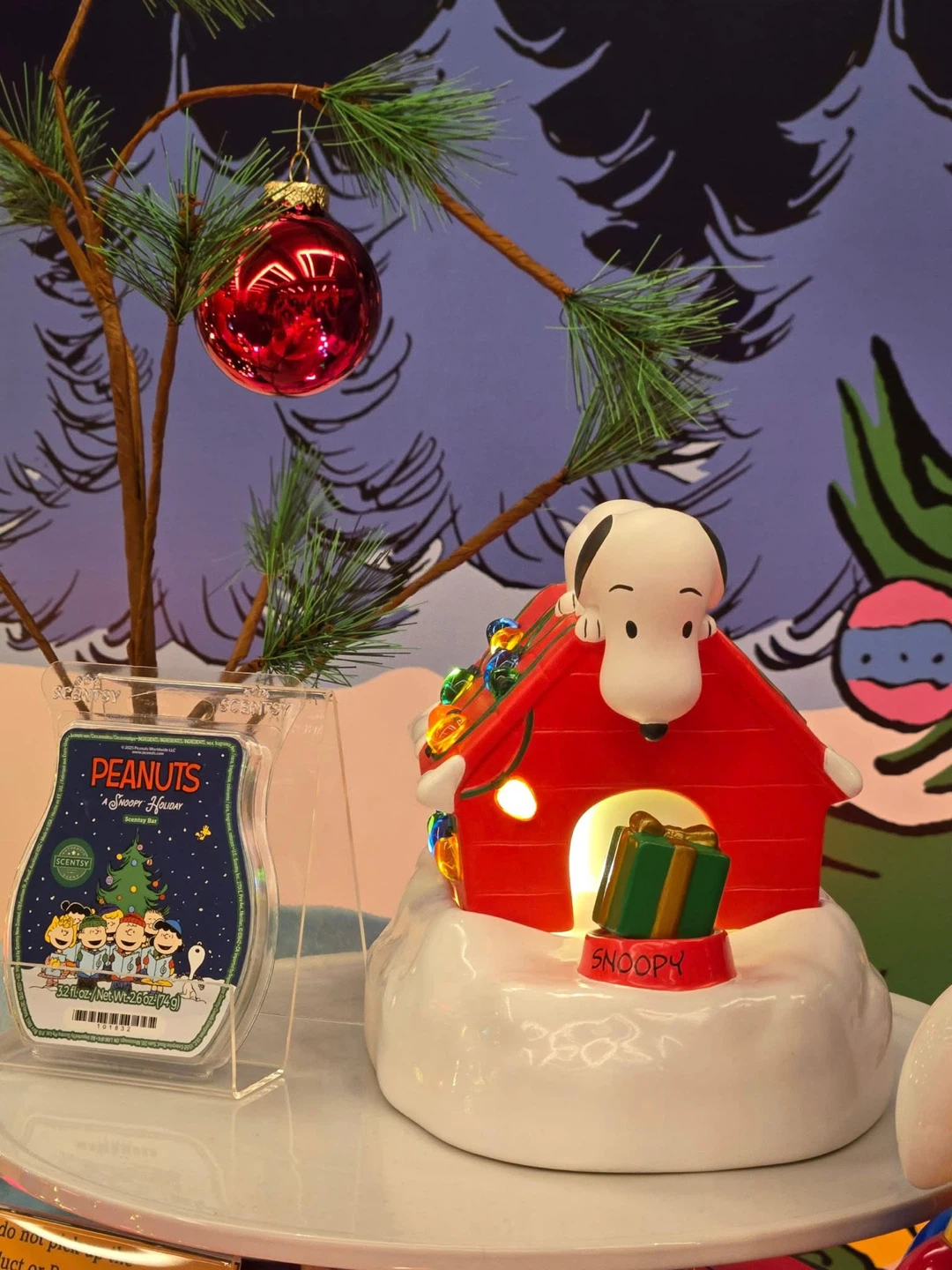 Snoopy Christmas Warmer!