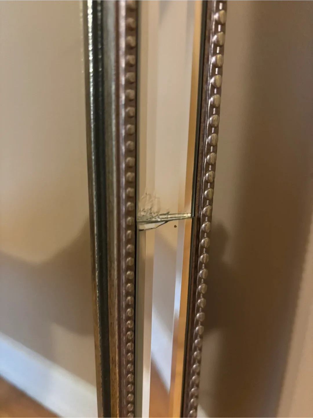 Mirror image indicator(2)