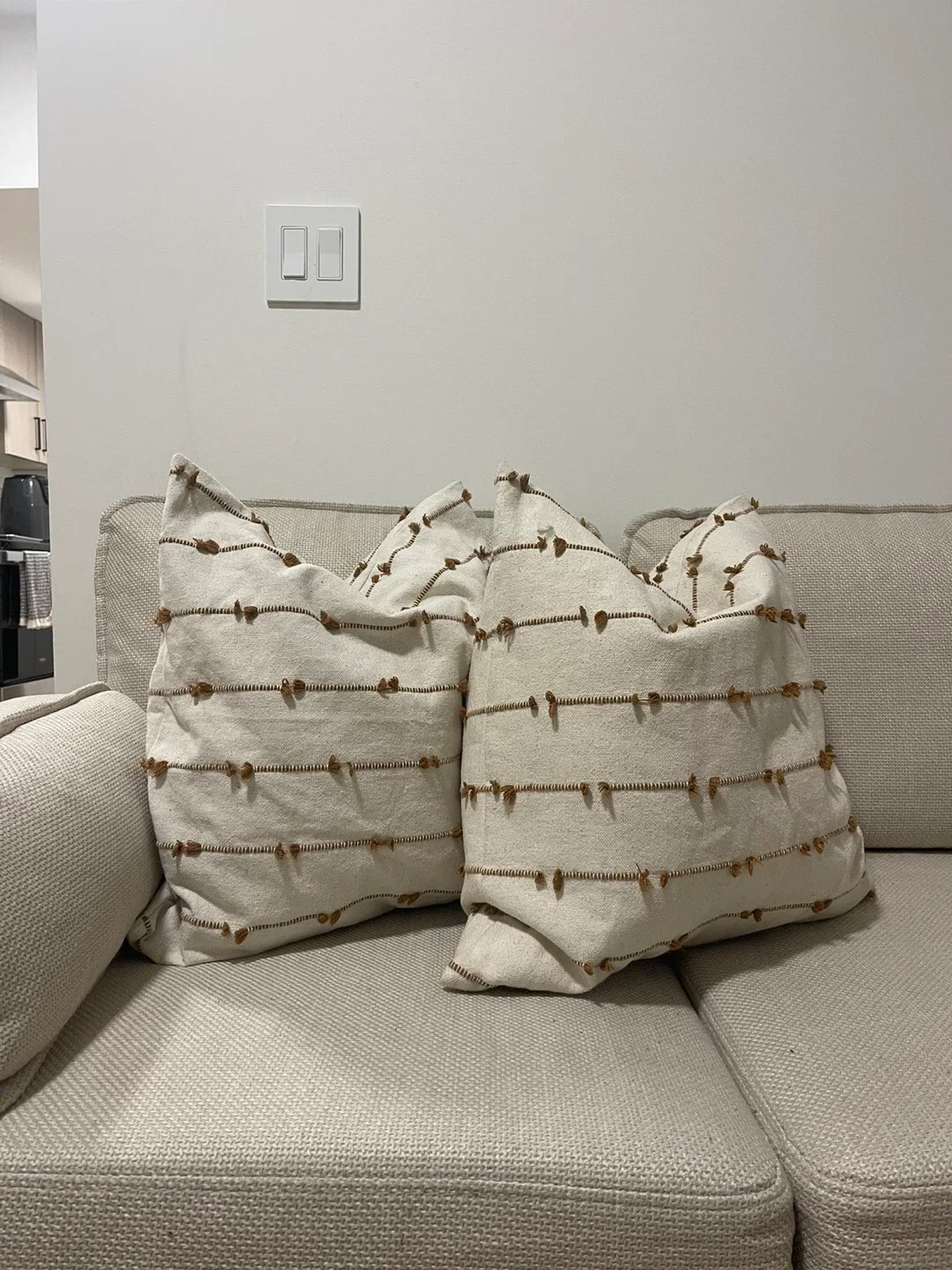 Decorative Throw Pillows (Set of 2) image indicator(2)
