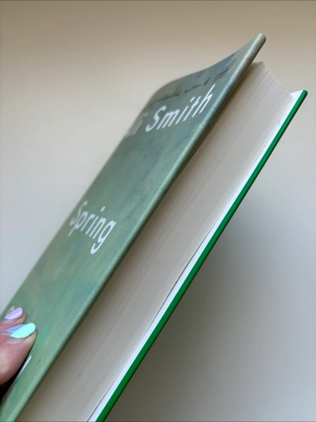 Spring by Ali Smith - Novel image indicator(5)