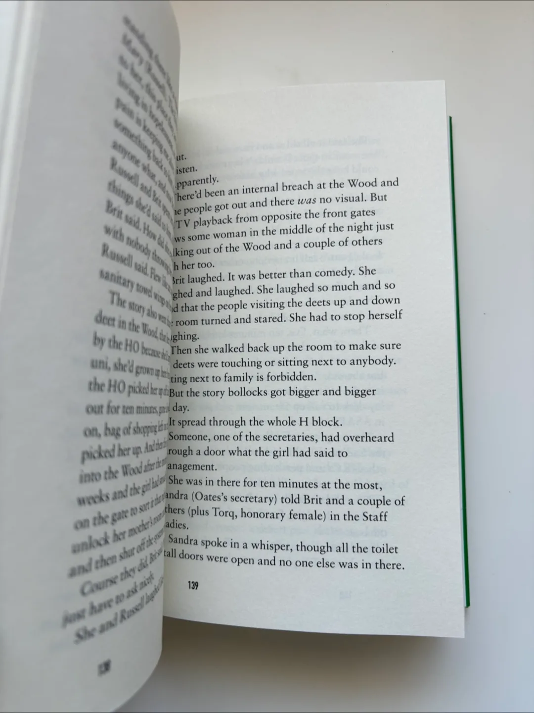 Spring by Ali Smith - Novel image indicator(4)