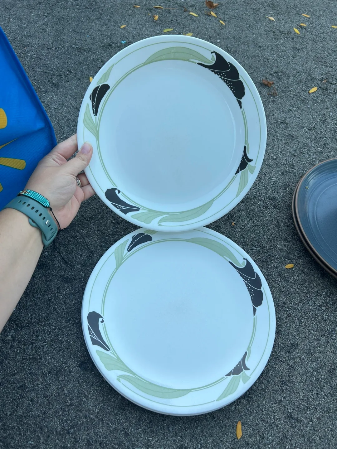 Corelle Dishes & Bowl image indicator(2)