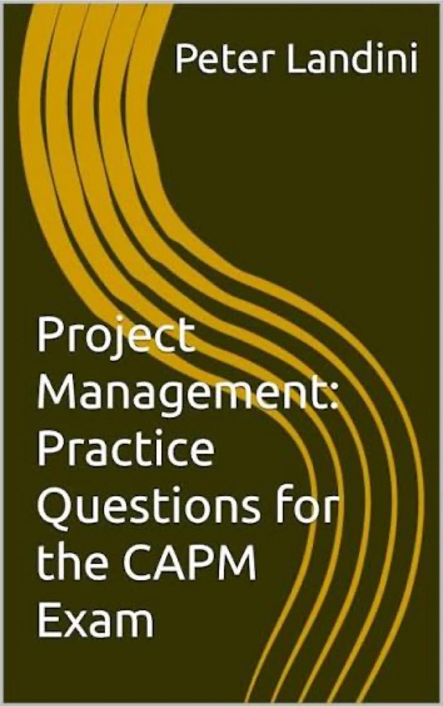 CAPM Peter Landini practice questions book