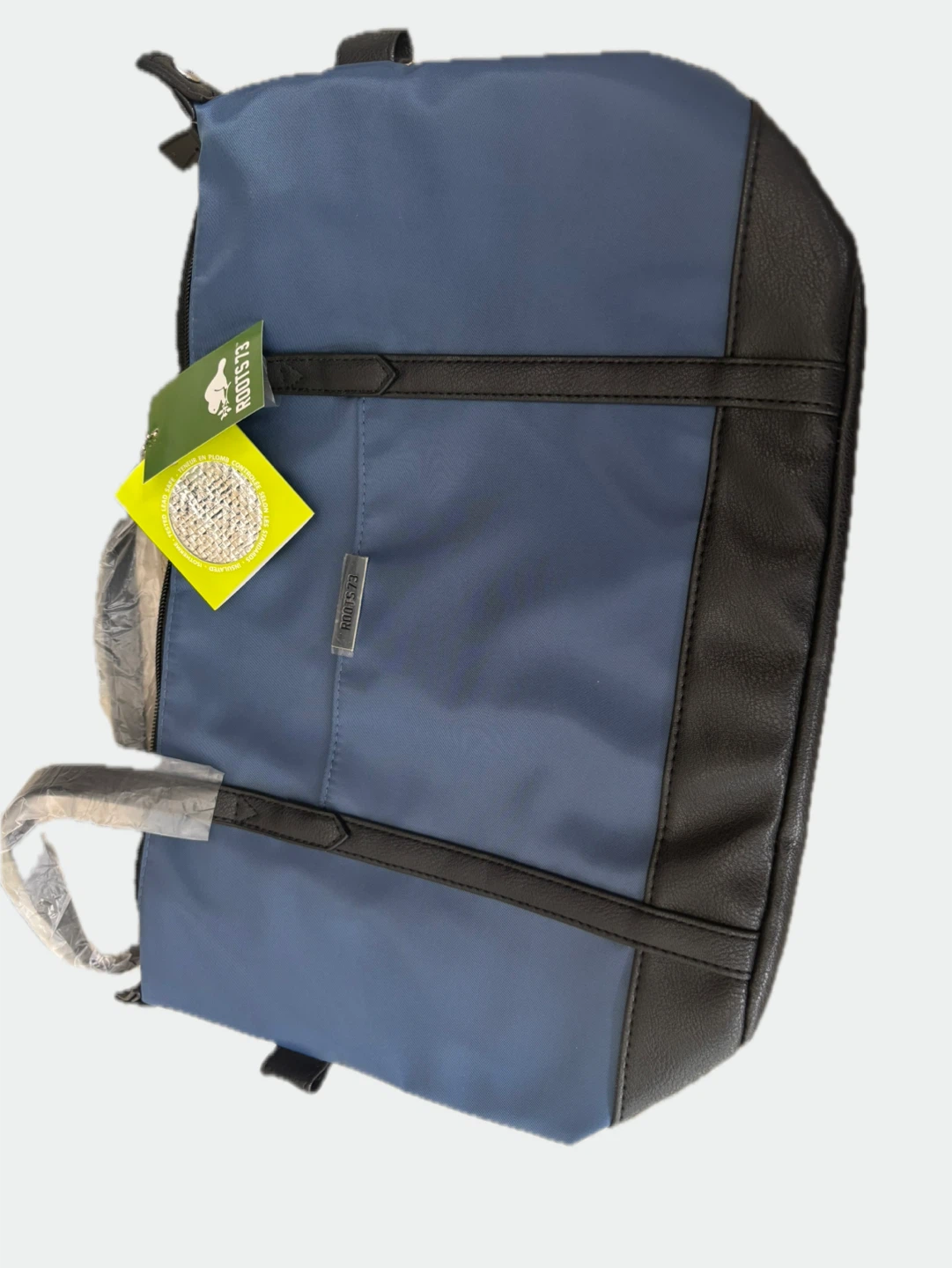 Roots 73 Blue Backpack