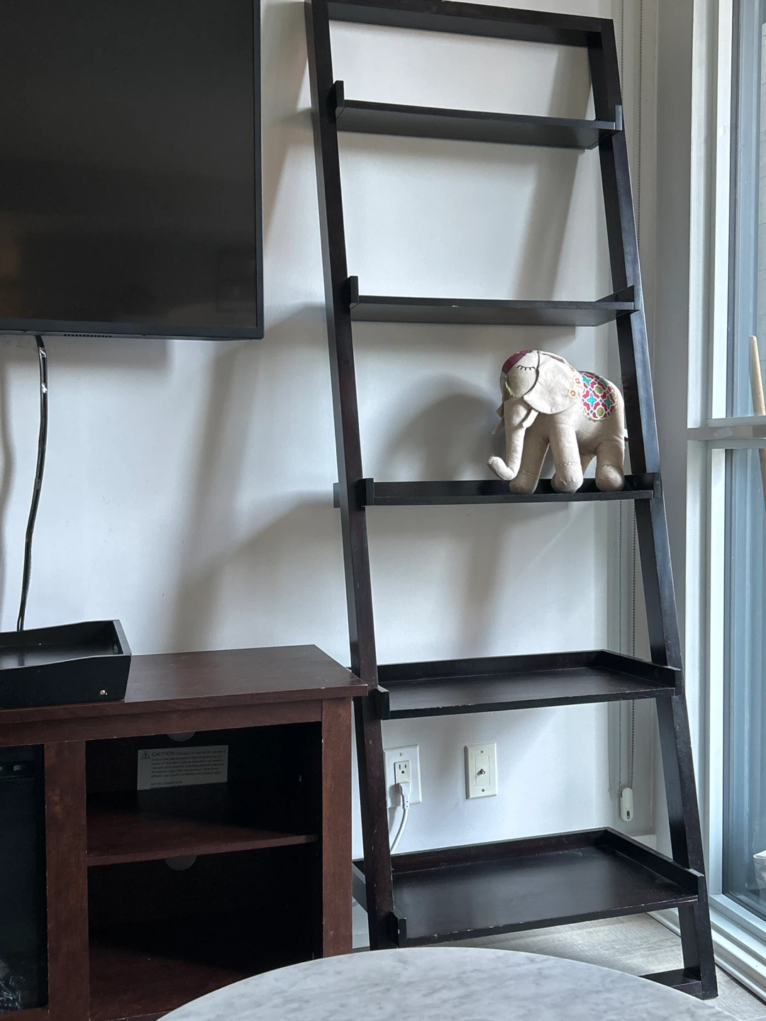 Black Leaning Ladder Shelf