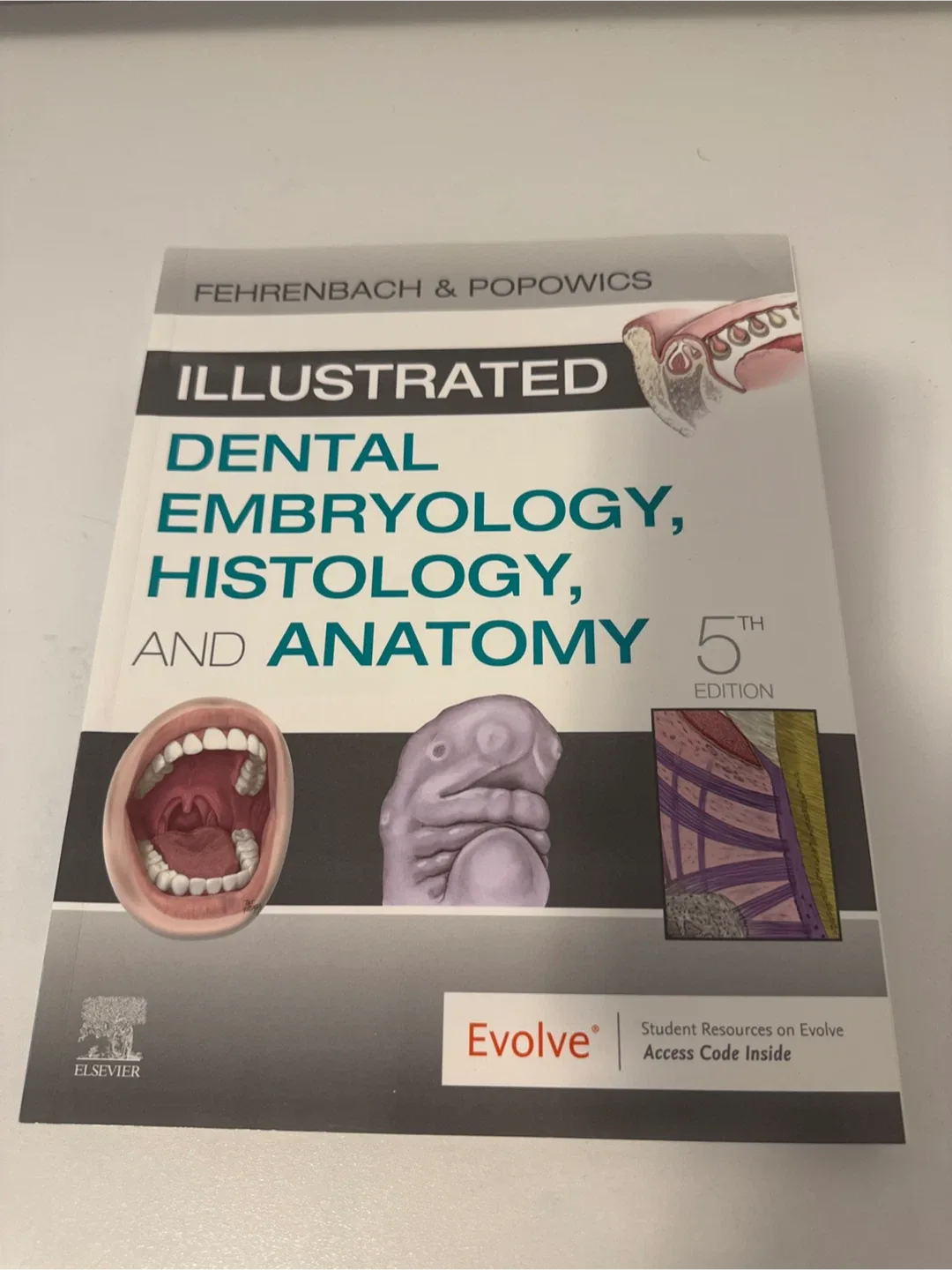 Illustrated Dental Embryology, Histology, and Anatomy 5th Ed thumbnail