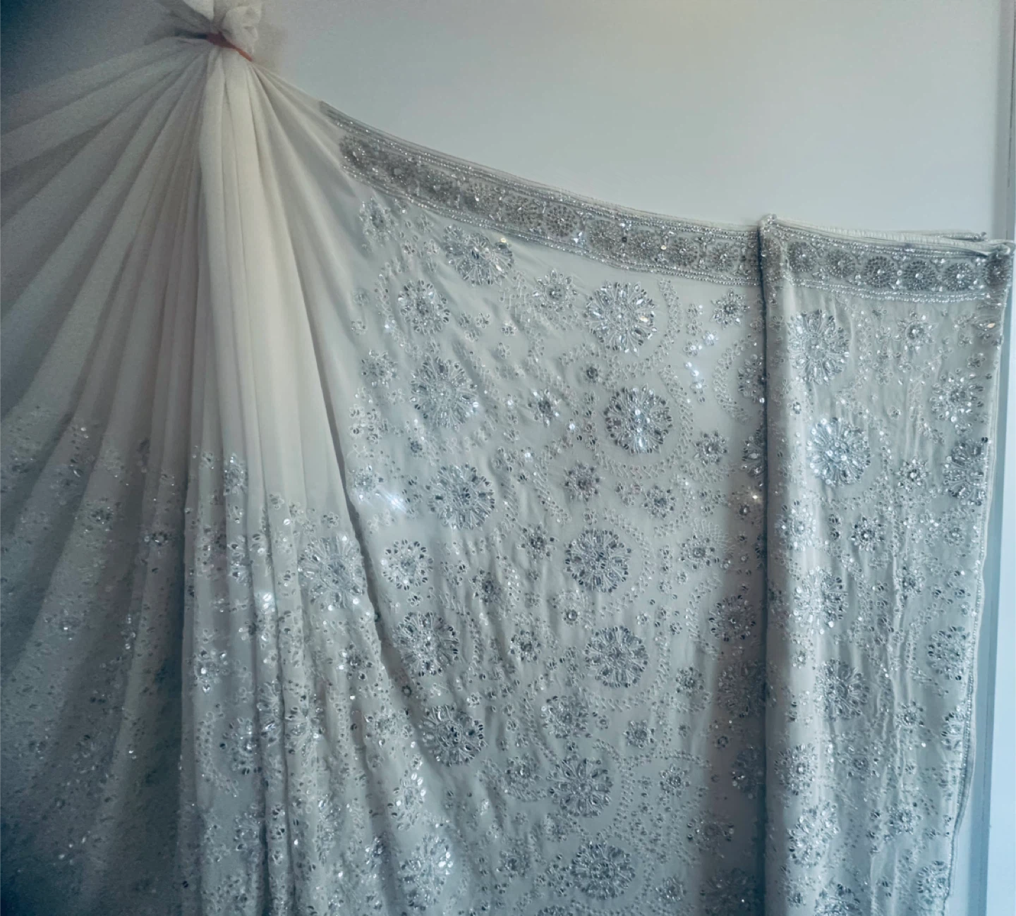 Elegant Embellished Saree
