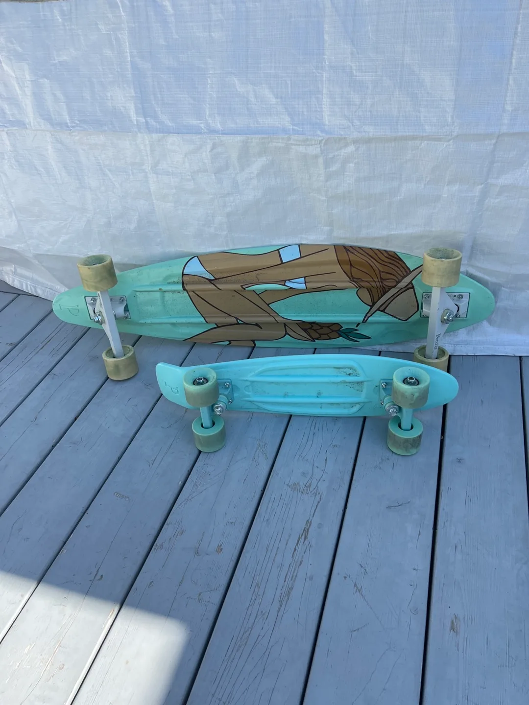 Penny Skateboard Lot - Two Boards image indicator(2)