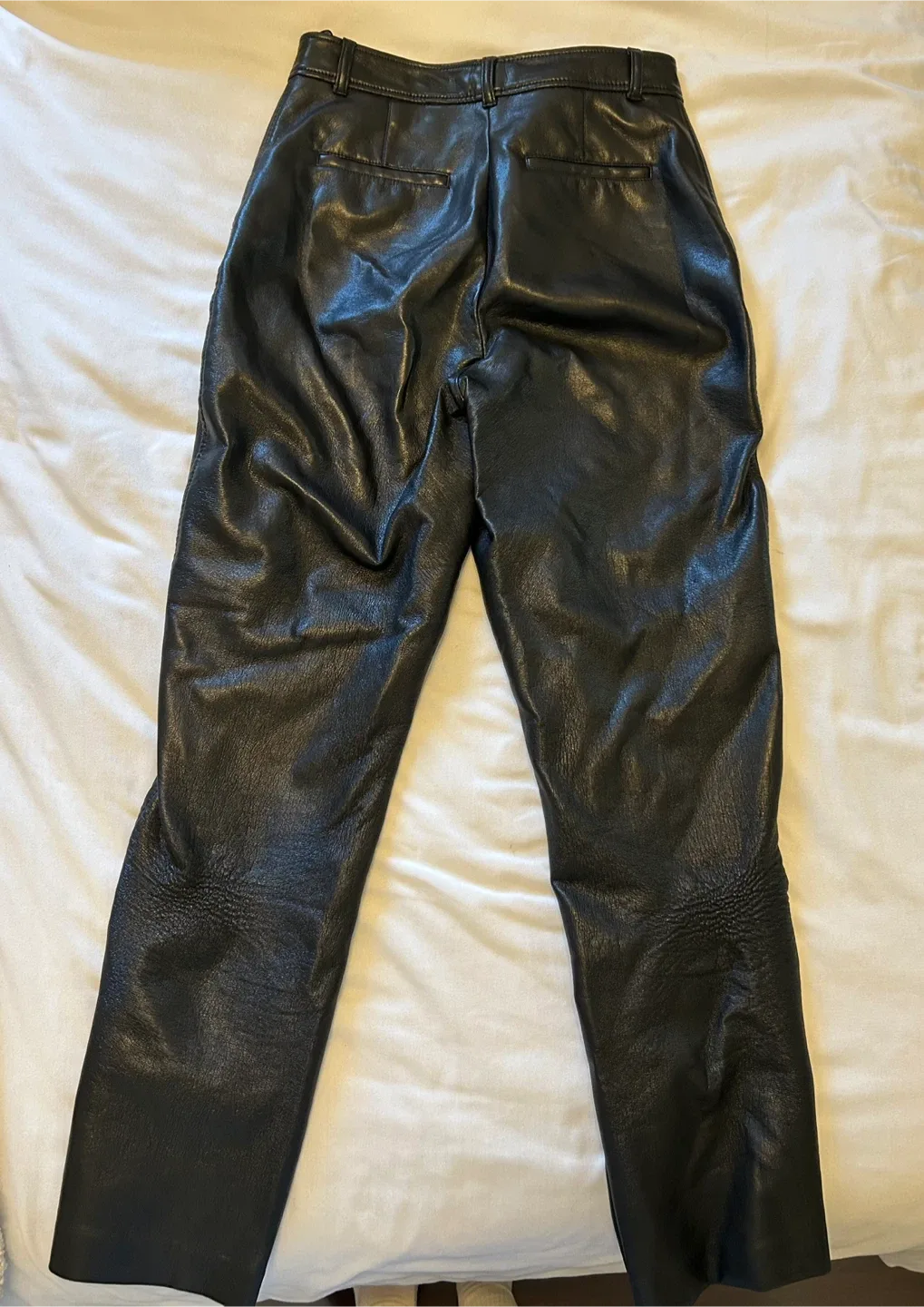Aritzia Babaton Black Leather Pants - Size 8 image indicator(3)