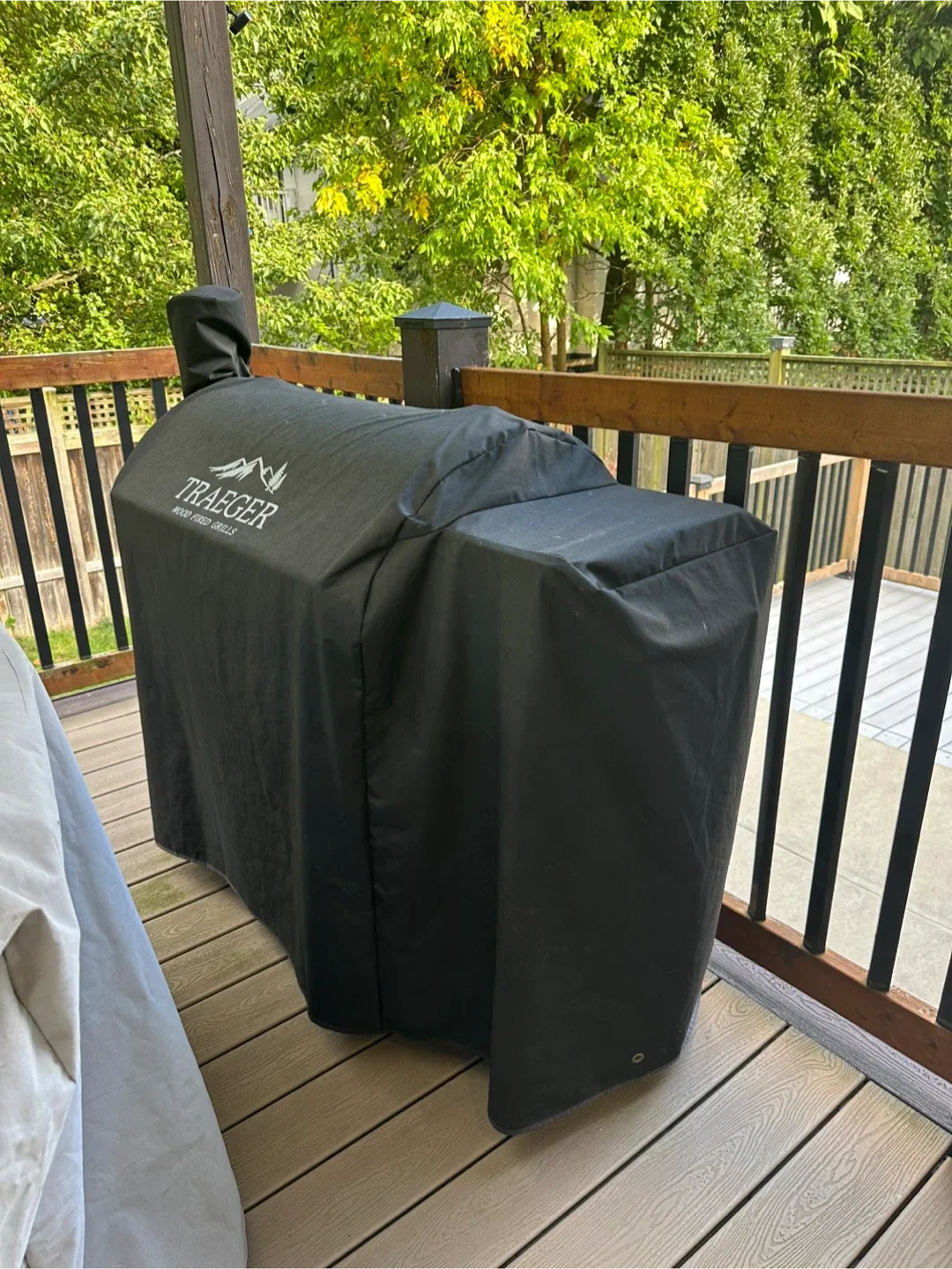 Traeger Century 885 D2 Wood Fired Grill image indicator(2)