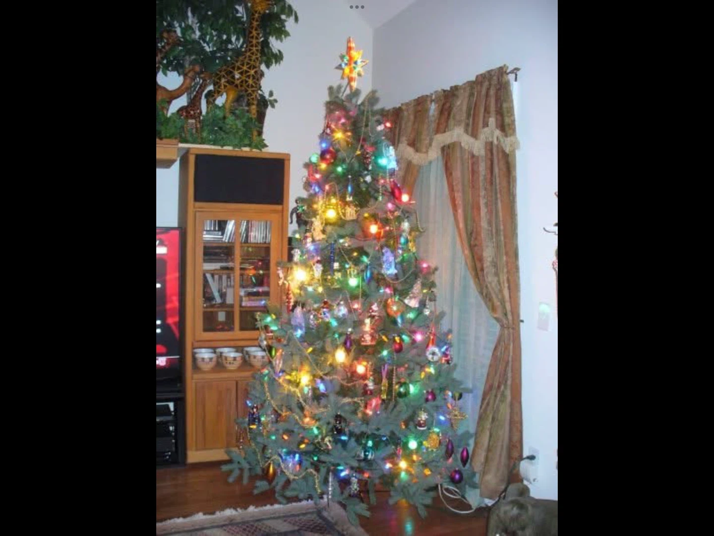 Christmas NO prelighting - photo 2