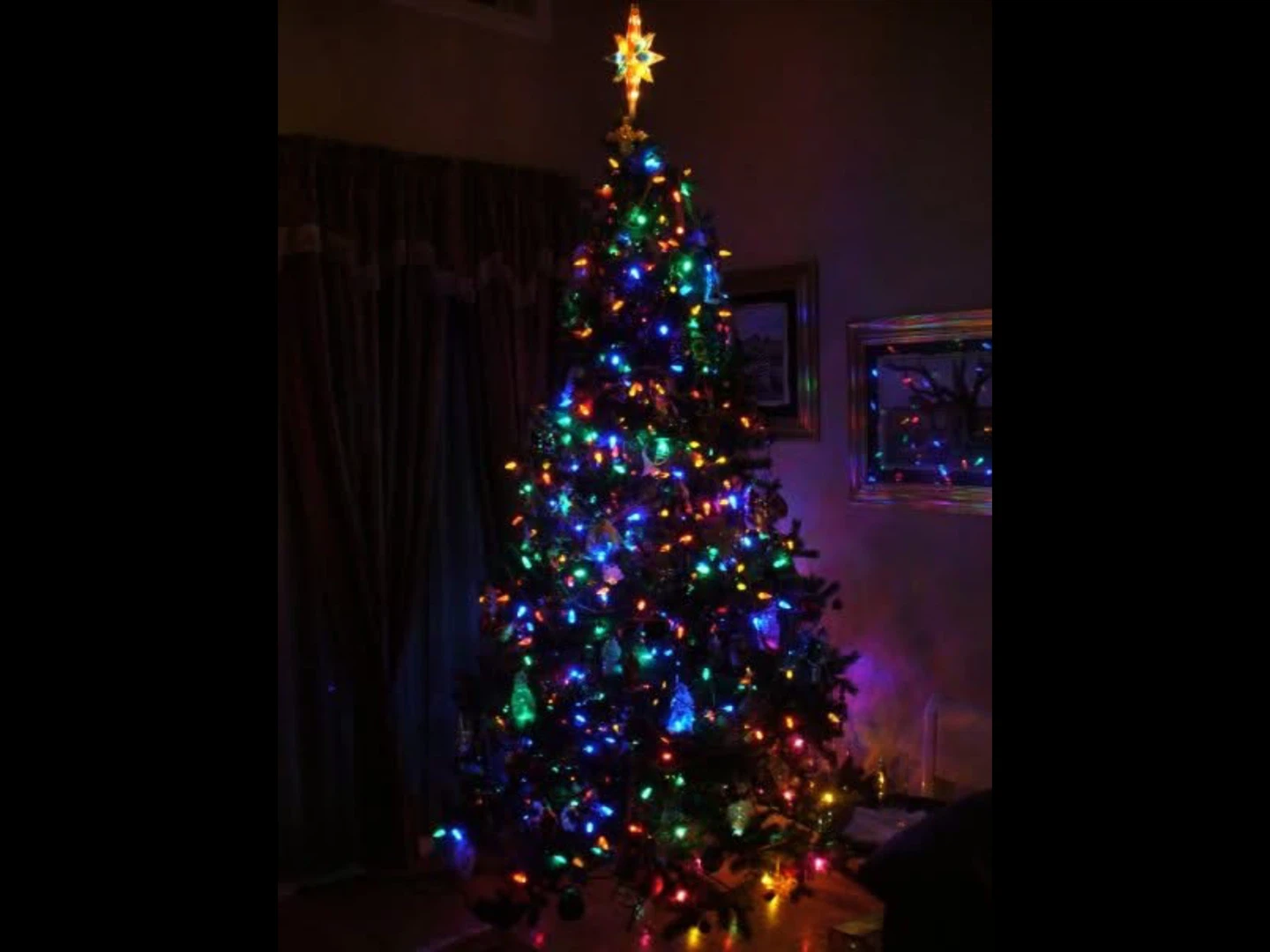 Christmas NO prelighting - photo 4