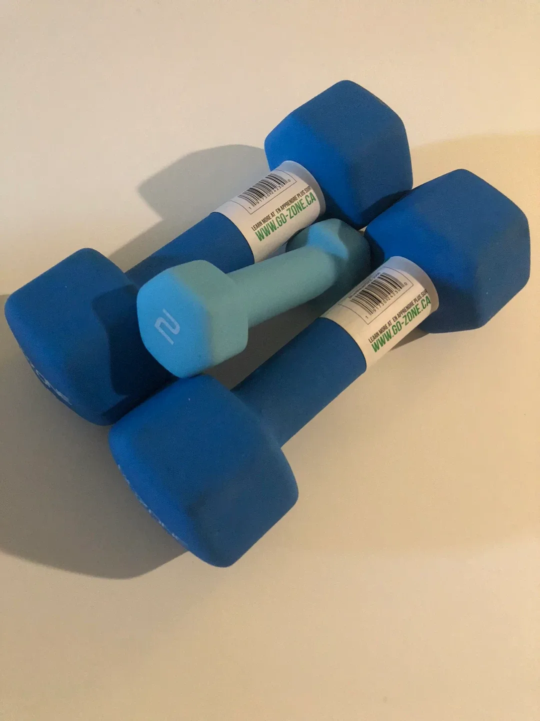 GoZone Dumbbells - 18lb (4.5kg) Pair image indicator(2)