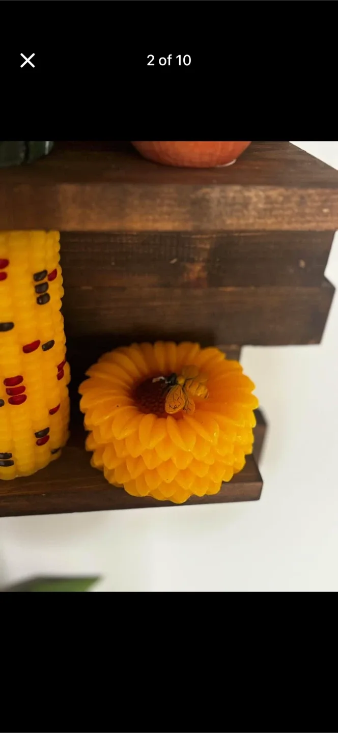 Various fall & autumn decorative candles-corn, pumpkin, squirrel image indicator(2)