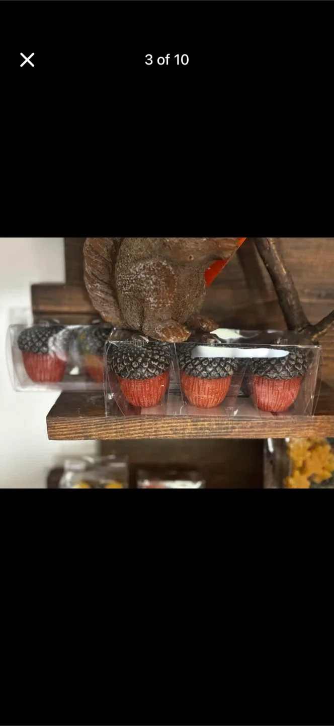 Various fall & autumn decorative candles-corn, pumpkin, squirrel image indicator(3)