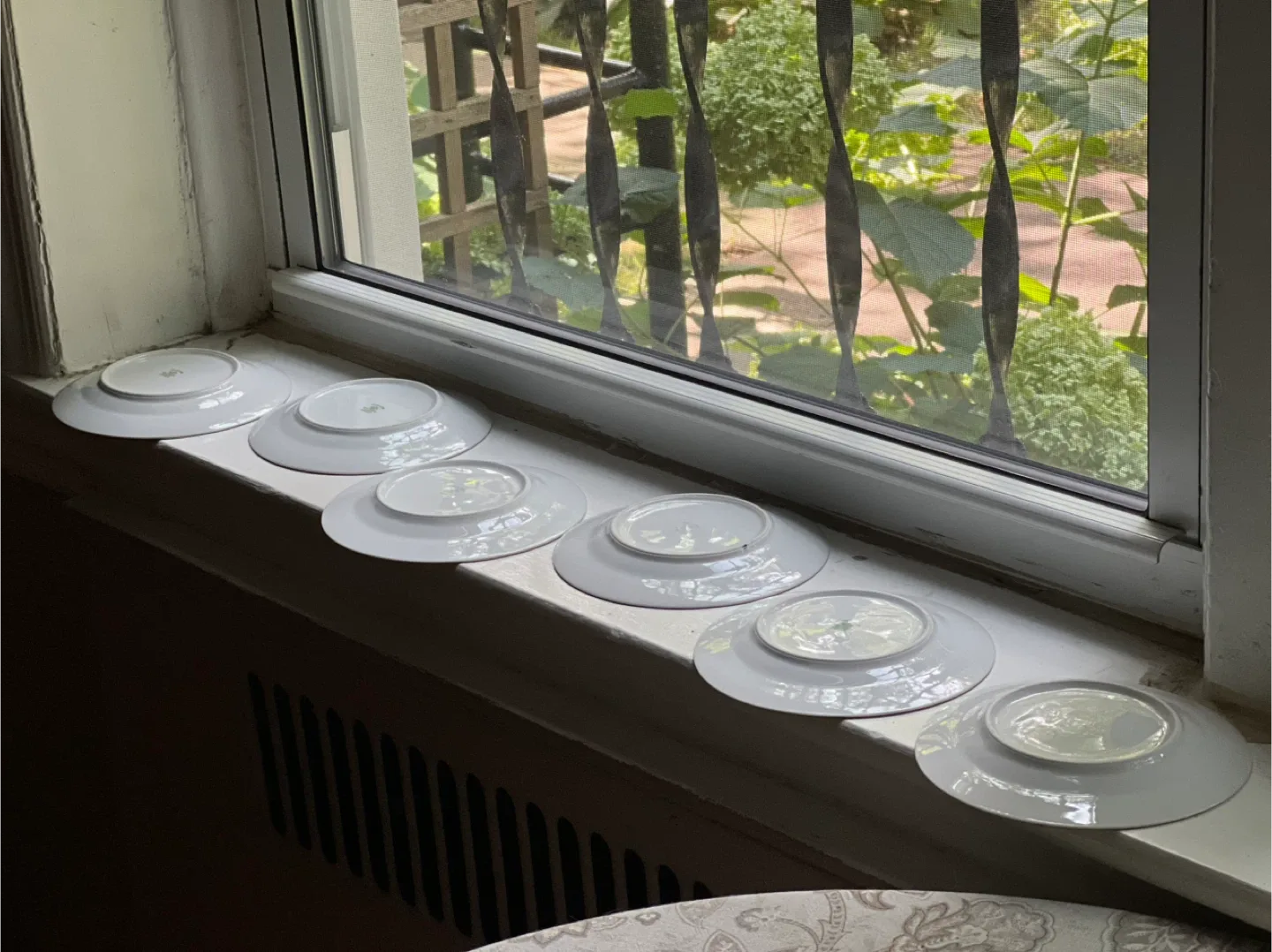 Vintage Floral China Plates - Set of 6 image indicator(5)