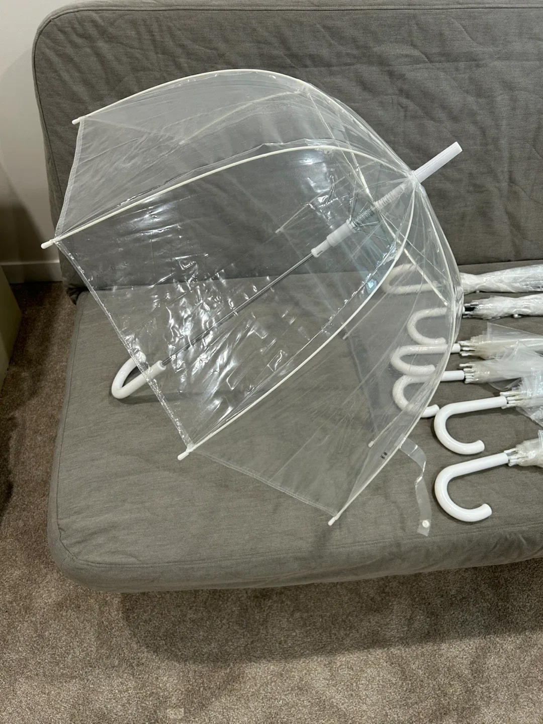 Clear Bubble Umbrellas with White Trim image indicator(2)