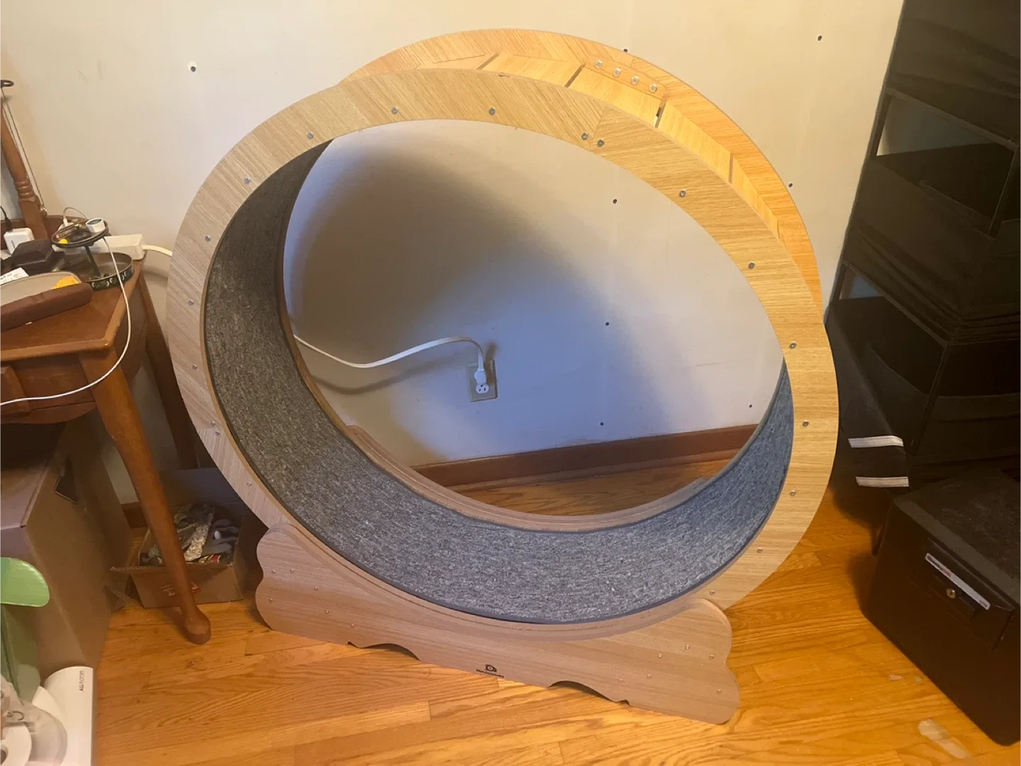 Naviconvex Cat Wheel 45 inch XL 🧡 thumbnail