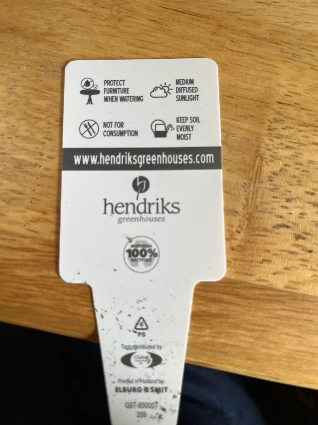 Hendriks Greenhouses Ivy Plant 🧡 image indicator(2)