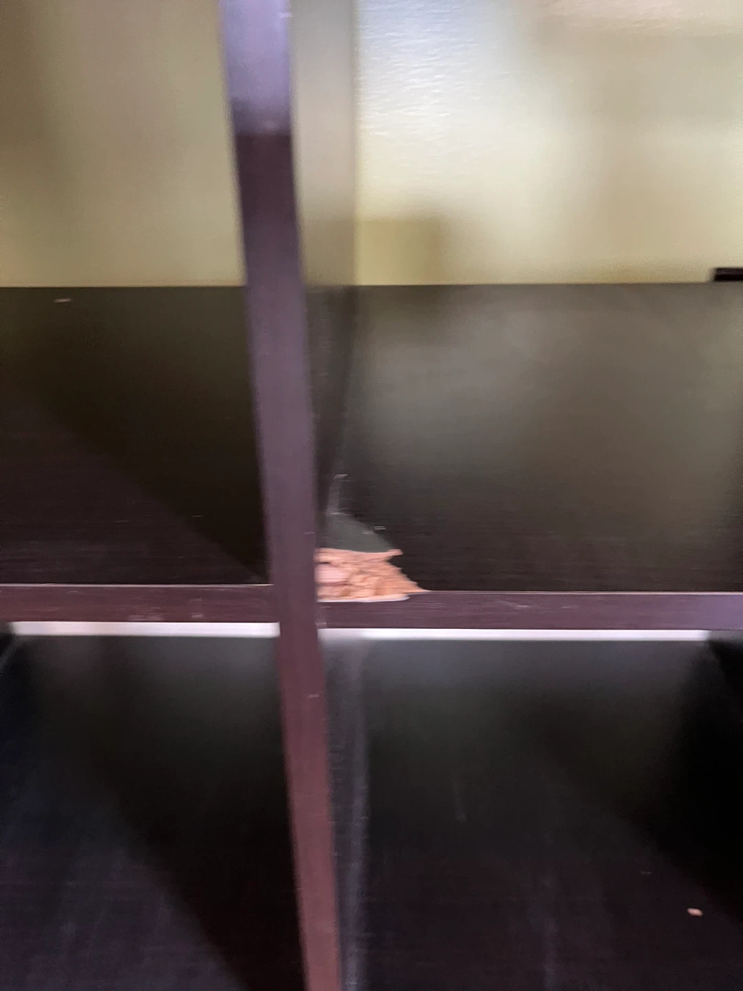 IKEA Kallax Shelf Unit - Dark Brown - photo 4