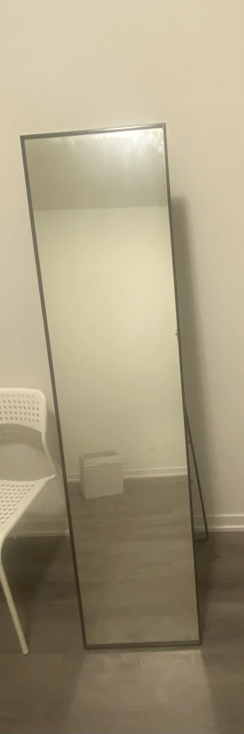Standing Mirror with Dark Frame