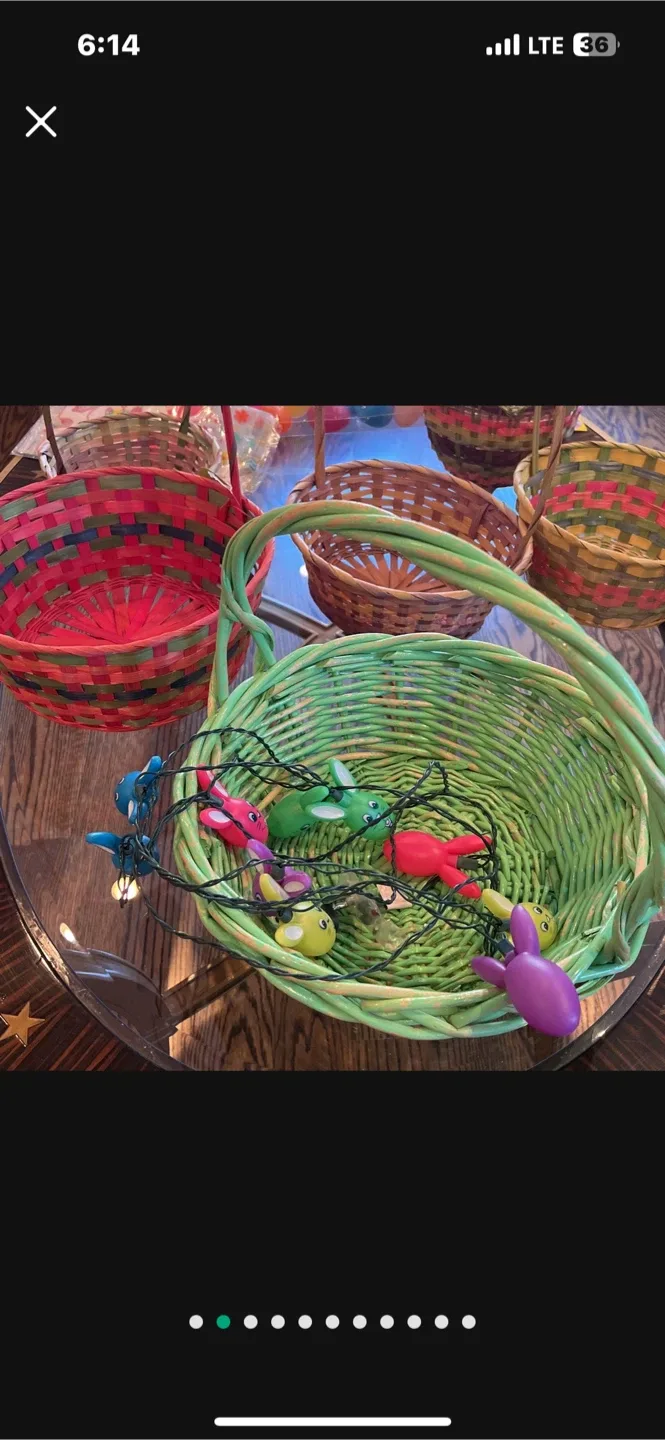 Easter Baskets & Egg Hunt Supplies image indicator(3)